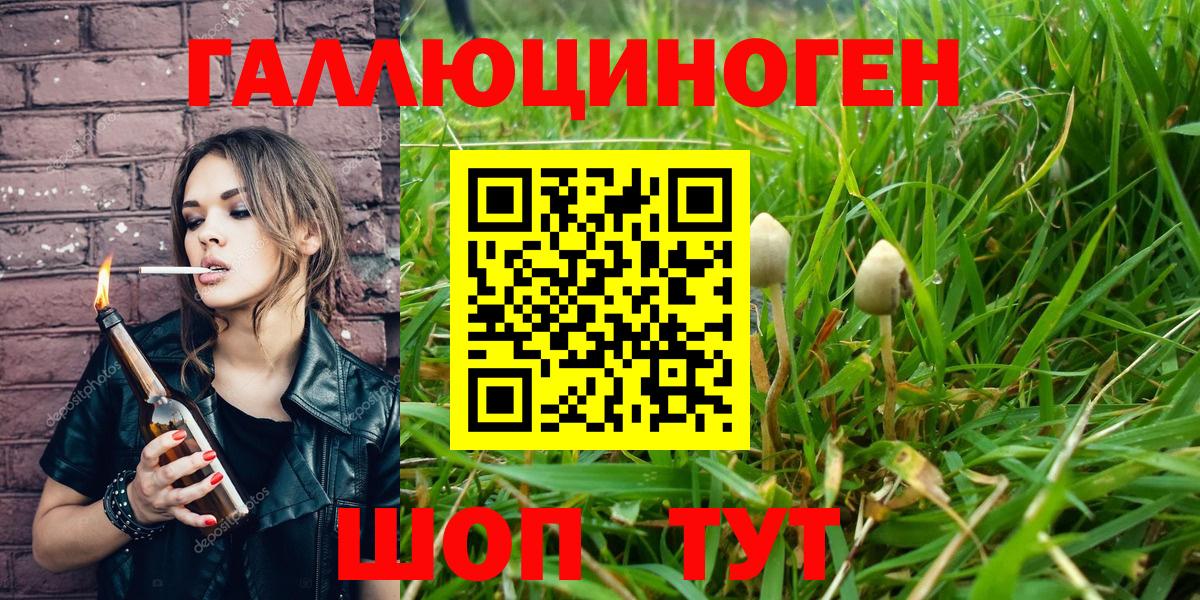 Ревда  Галлюциногенные грибы GOLDEN TEACHER  Вход с VPN 